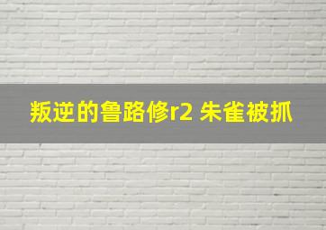 叛逆的鲁路修r2 朱雀被抓